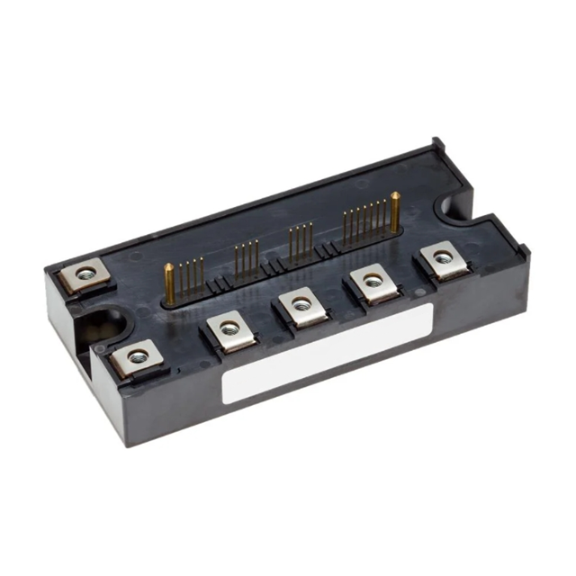 PM100CG1B065